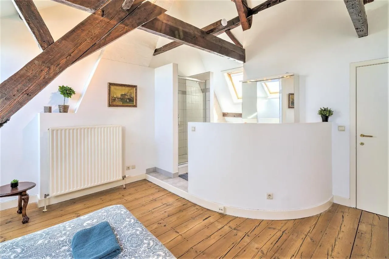The Capital Street Triplex Apartment Antwerp Belgium